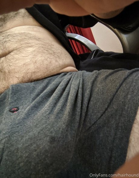 Hairhound
