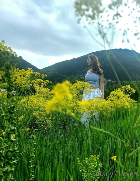 Thetiffanyflowers