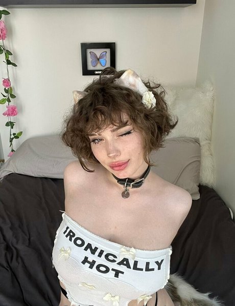 Realmkittenfree