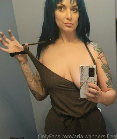 Ariawandersfree