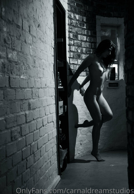 Photo nue de fuite OnlyFans de Carnaldreamstudios