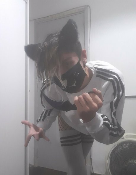 Gayasslawren