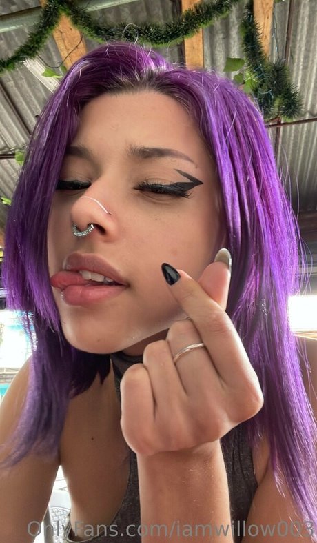Photo nue de fuite OnlyFans de Iamwillow003