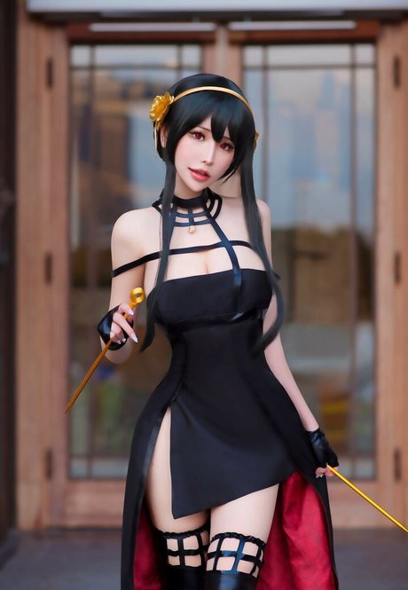Plant Lily