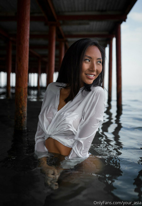 Asian_model