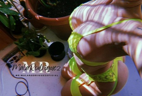 Mala Rodriguez