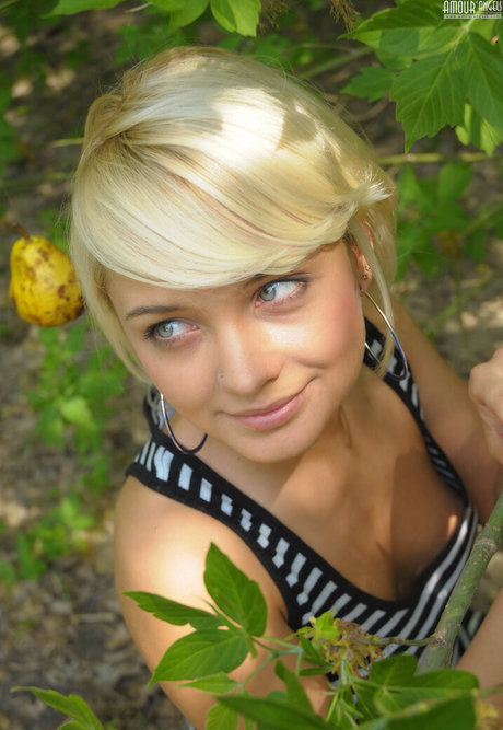 Amourangels