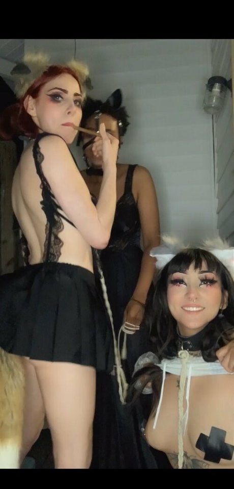 Velvetmuerte