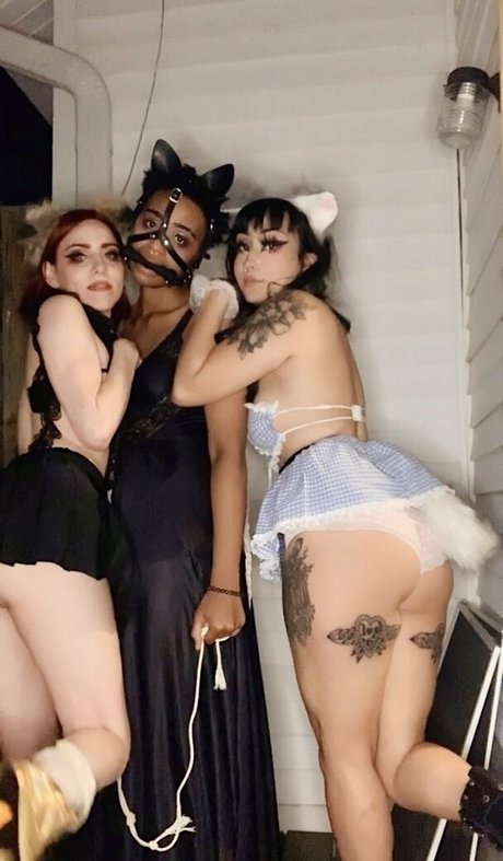 Velvetmuerte