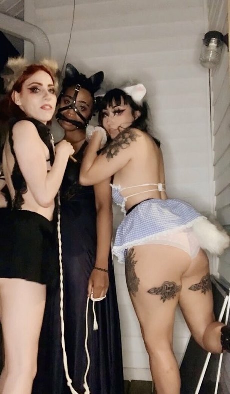 Velvetmuerte