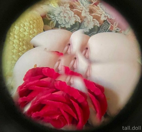 Talldoll