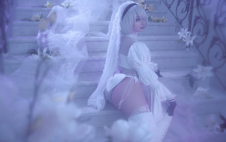 Alcololi