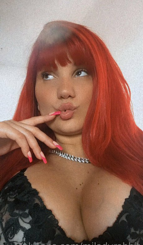 Miladyrabbit