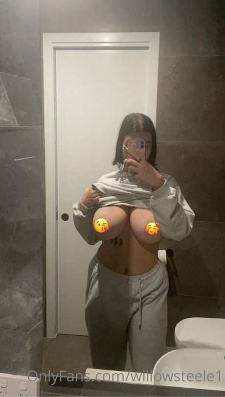 Photo nue de fuite OnlyFans de Phoebewillow