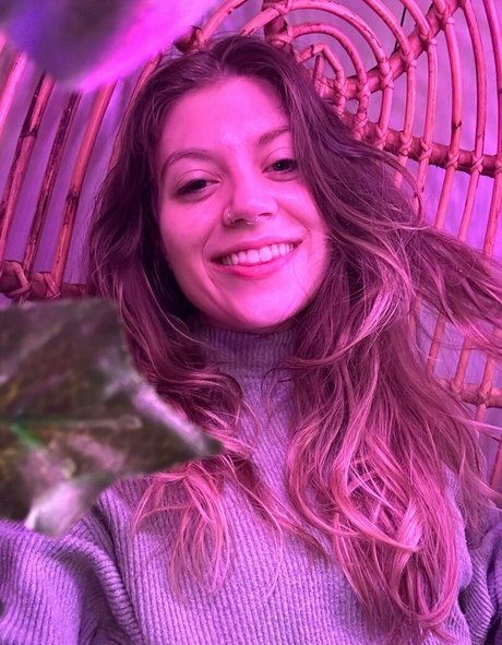 Mousiexox