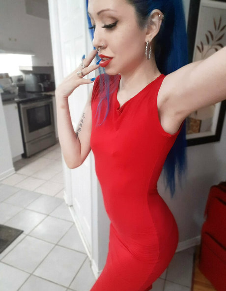 Vulgarkitty