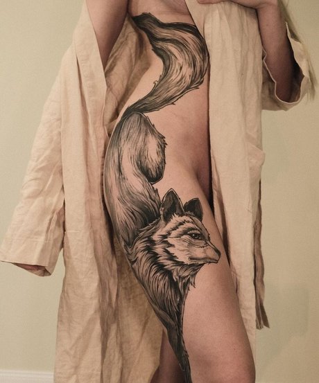 Farbenfuchs