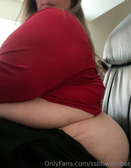 Ssbbwamber