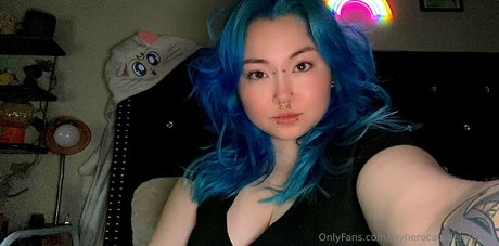 Myherocatademiafree