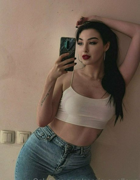 Cassieswallows