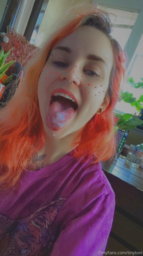Tinytoni