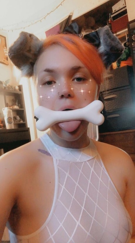 Pwuppydove