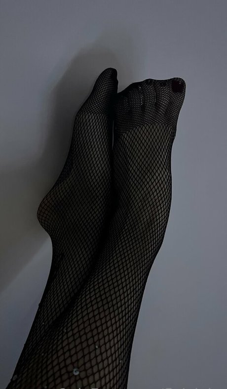 Fleivinha