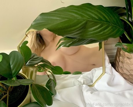 Photo nue de fuite OnlyFans de Rosegoldxn