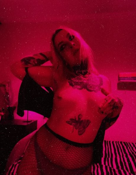 Dariamilk