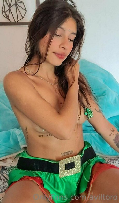 Aviltoro