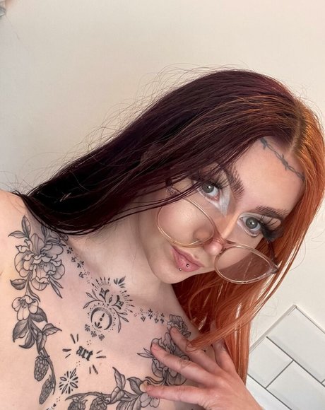 Xonicolavictoria