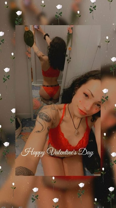 Blossomingvixen