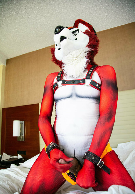 Wolf_ezo