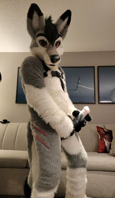 Stallionwolf