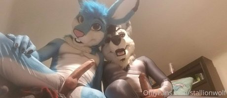 Photo nue de fuite OnlyFans de Stallionwolf