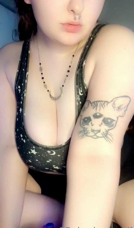 Cheekysheelf