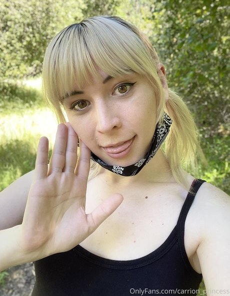 Photo nue de fuite OnlyFans de Carrionprincess