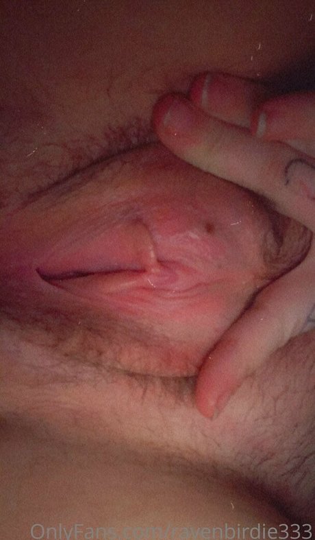 Ravenbirdie333