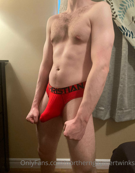 Northerngaymertwinks