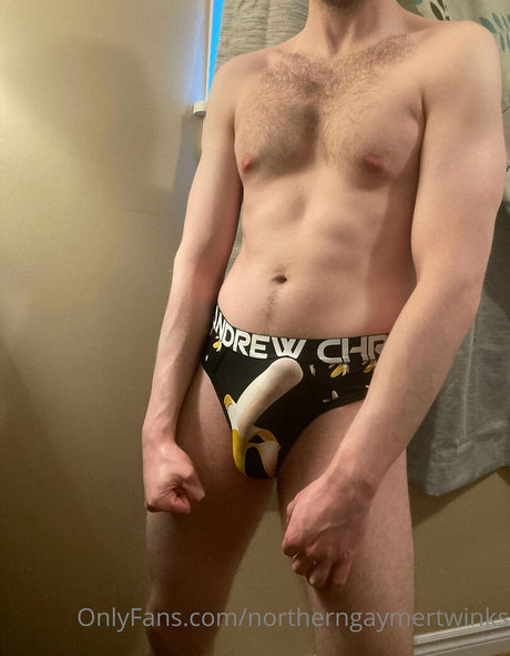 Photo nue de fuite OnlyFans de Northerngaymertwinks