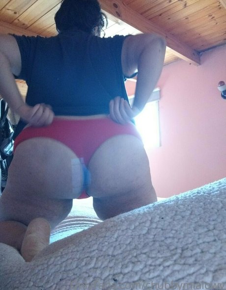 Photo nue de fuite OnlyFans de Chubbymialowy