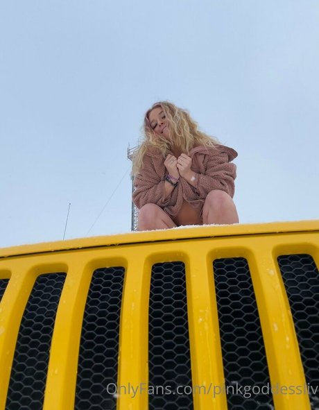 Pinkgoddessliv